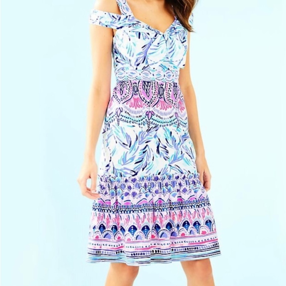 NWT  Midi Dress